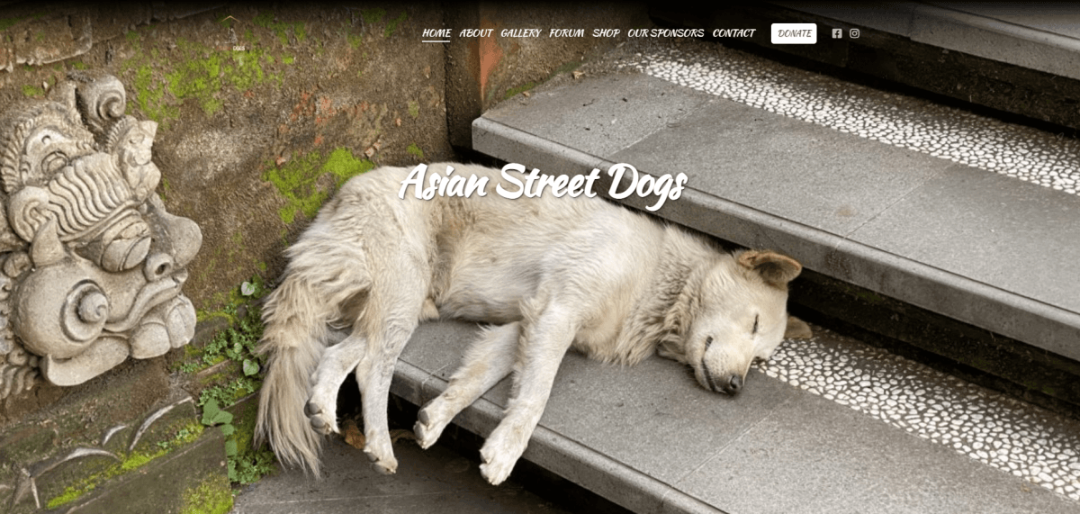 Asian Dogs, raising funds to vaccinate street dogs across South East Asia